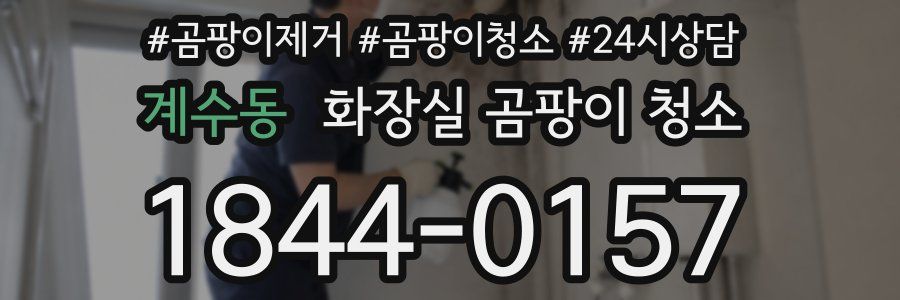 계수동 화장실 곰팡이 청소