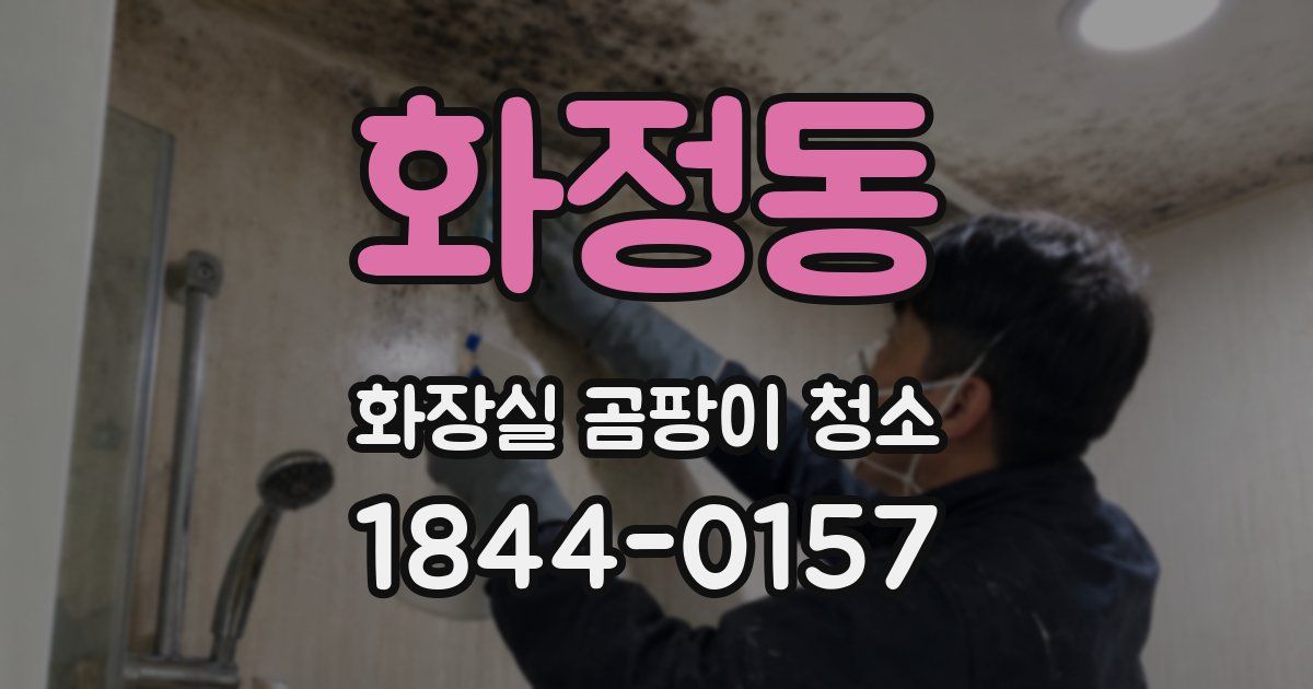 화정동 화장실 곰팡이 청소