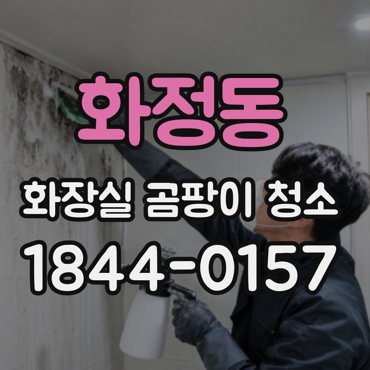 화정동 화장실 곰팡이 청소