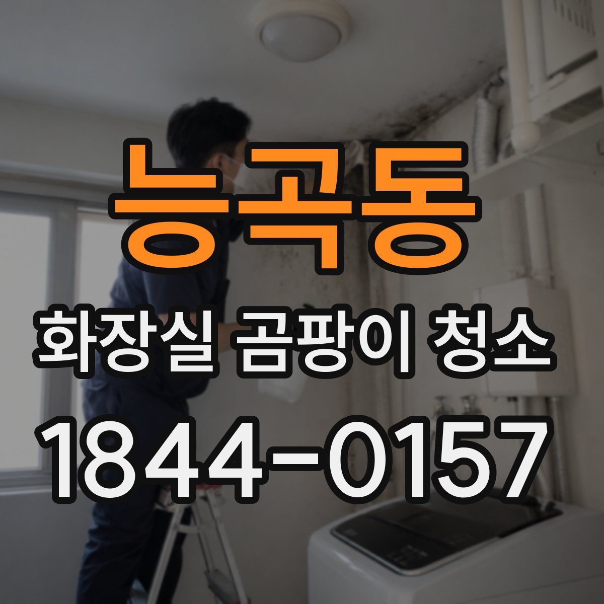 능곡동 화장실 곰팡이 청소