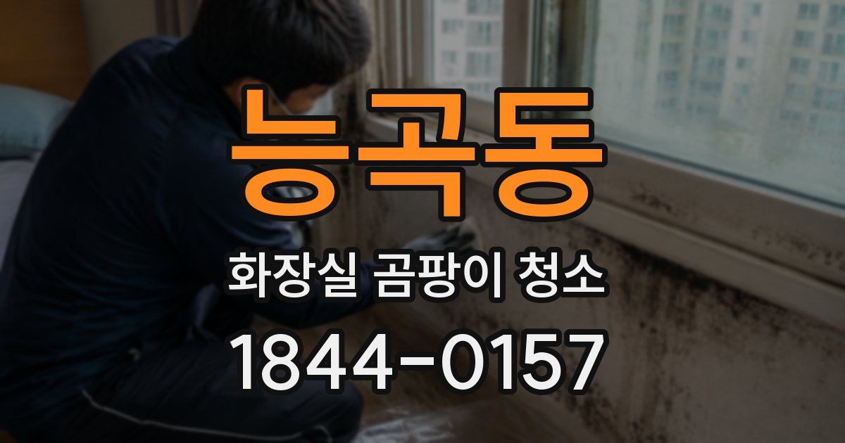 능곡동 화장실 곰팡이 청소