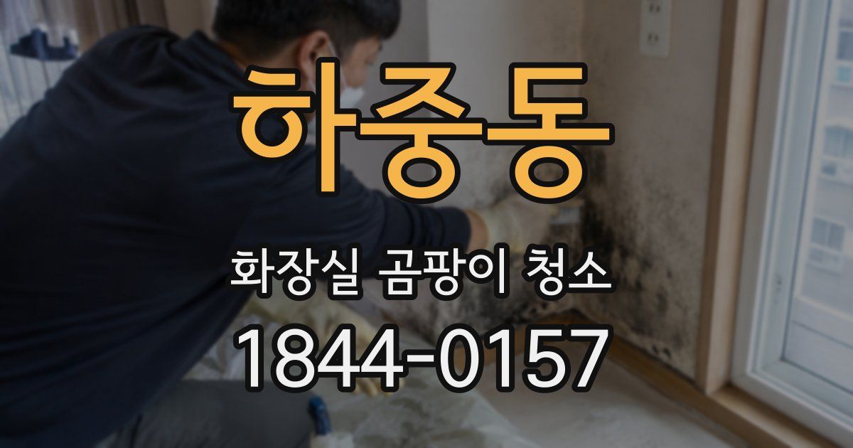 하중동 화장실 곰팡이 청소