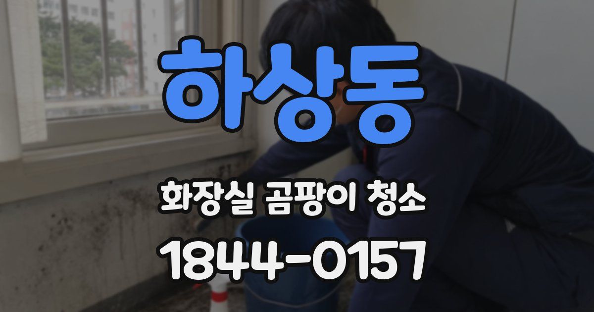 하상동 화장실 곰팡이 청소