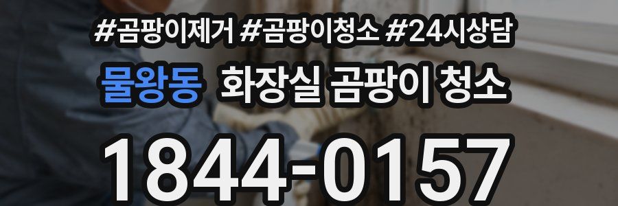 물왕동 화장실 곰팡이 청소