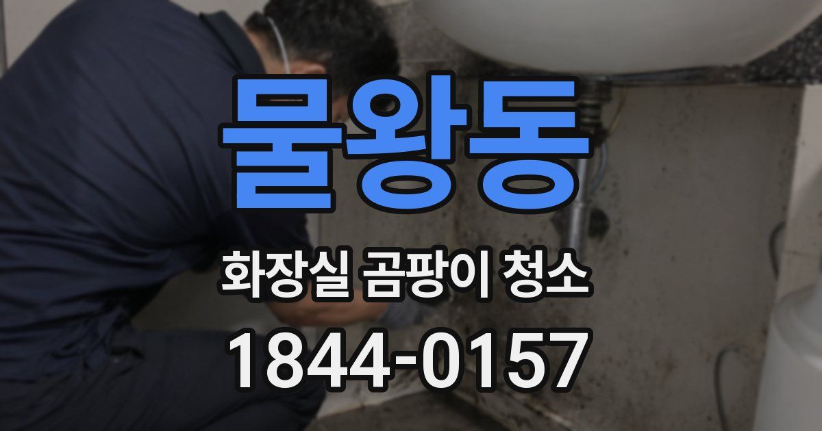 물왕동 화장실 곰팡이 청소