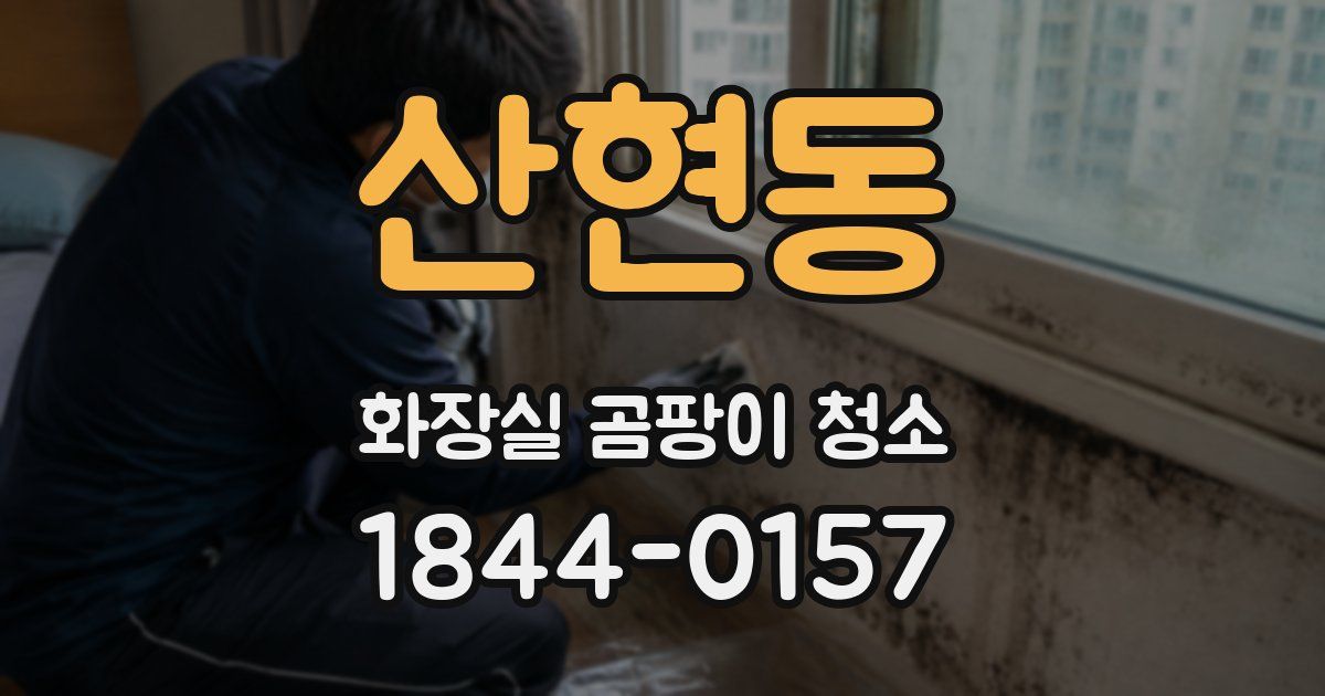 산현동 화장실 곰팡이 청소