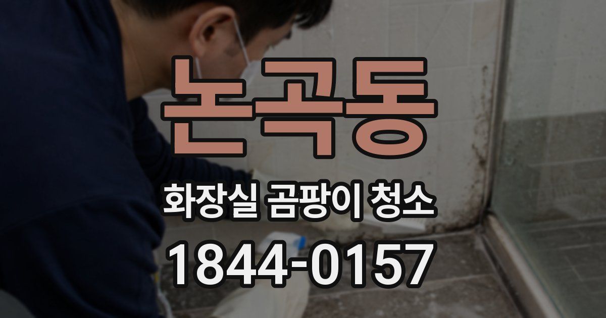 논곡동 화장실 곰팡이 청소