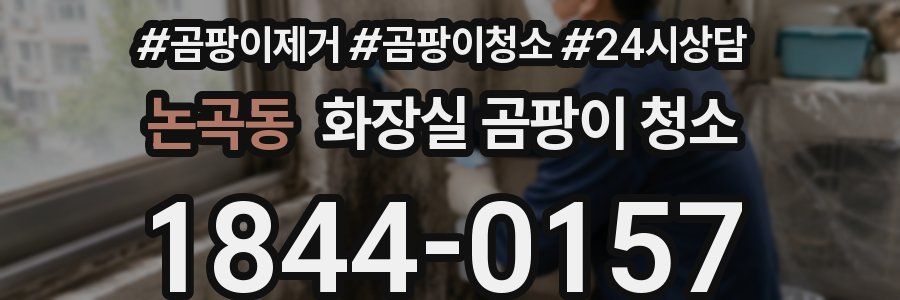 논곡동 화장실 곰팡이 청소