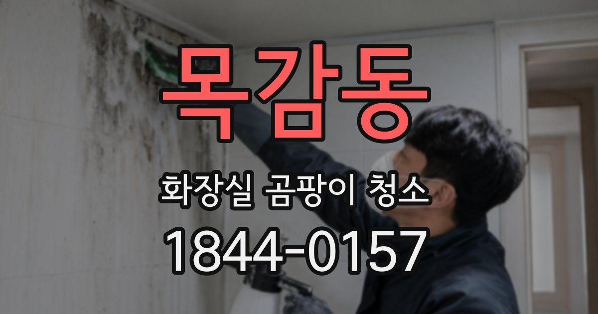 목감동 화장실 곰팡이 청소