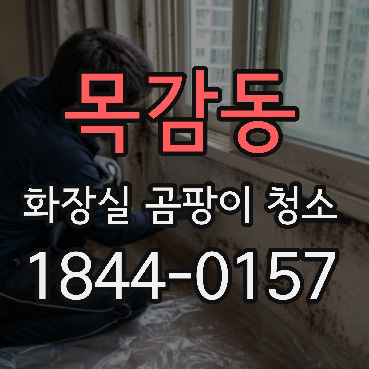 목감동 화장실 곰팡이 청소