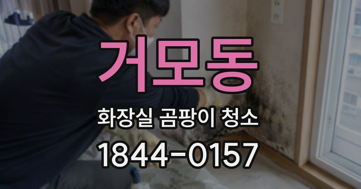 거모동 화장실 곰팡이 청소