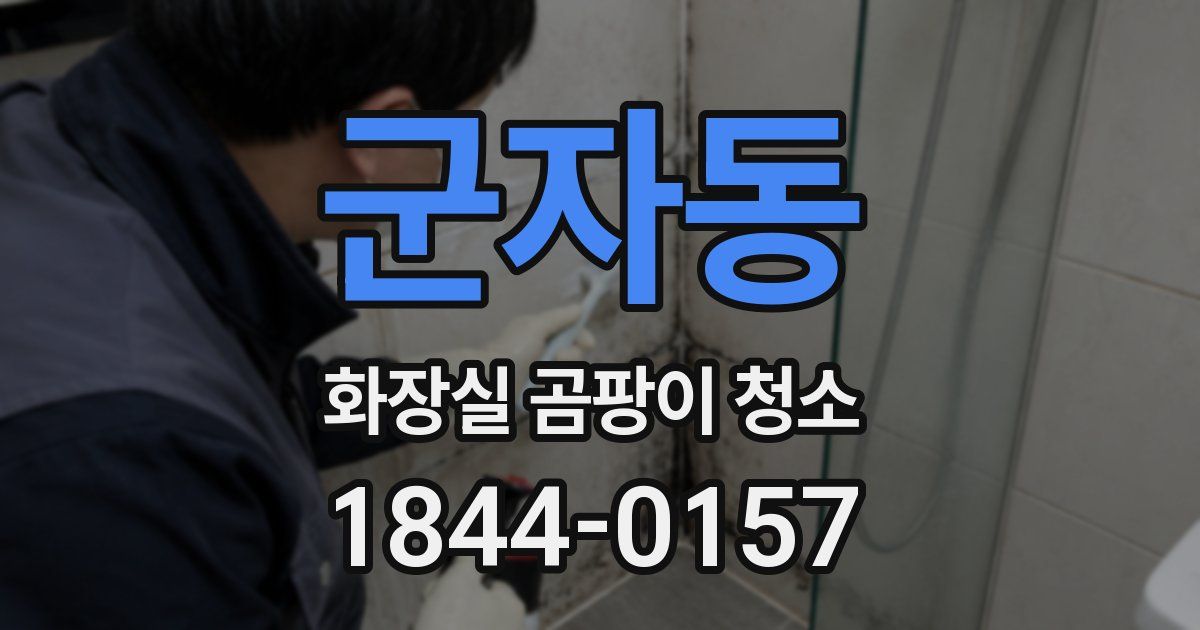 군자동 화장실 곰팡이 청소