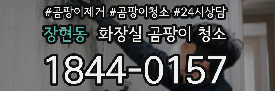 장현동 화장실 곰팡이 청소