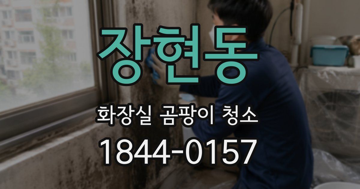 장현동 화장실 곰팡이 청소