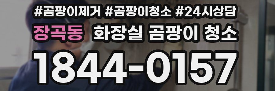장곡동 화장실 곰팡이 청소