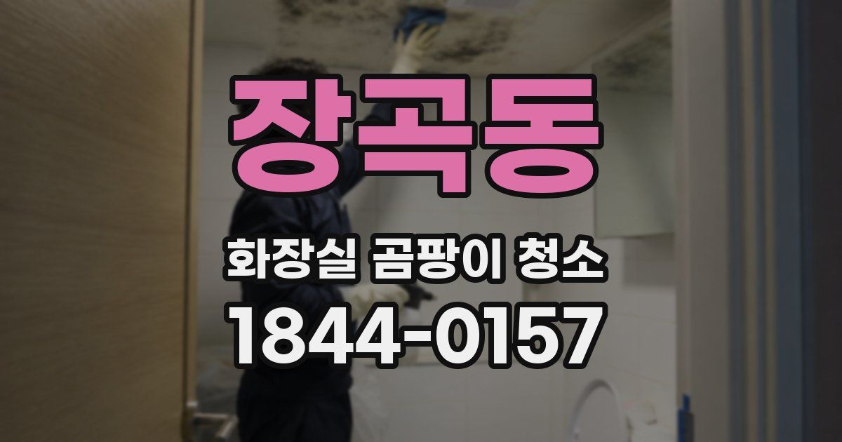 장곡동 화장실 곰팡이 청소