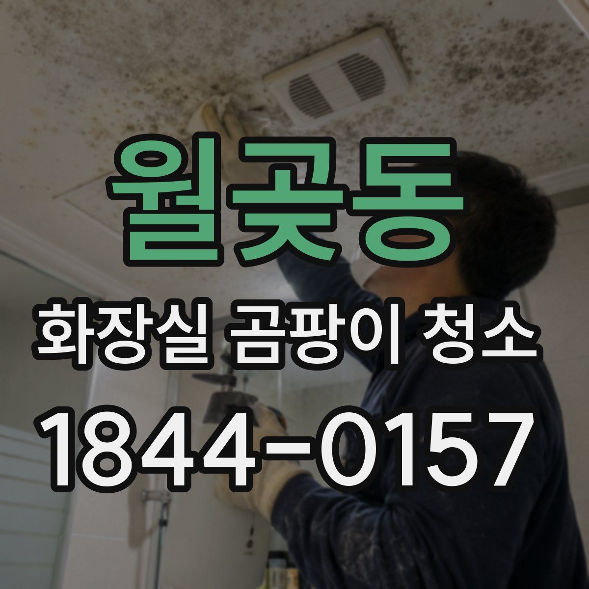 월곶동 화장실 곰팡이 청소