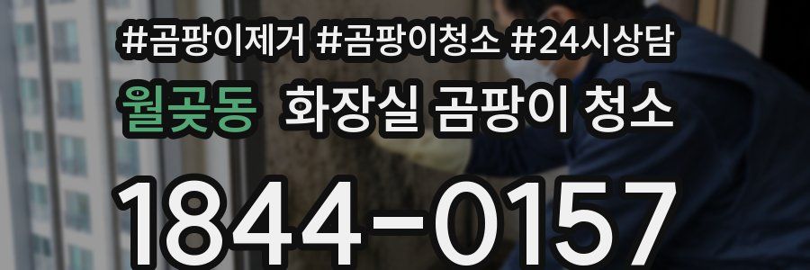 월곶동 화장실 곰팡이 청소