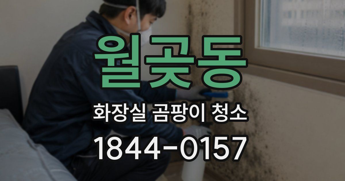 월곶동 화장실 곰팡이 청소