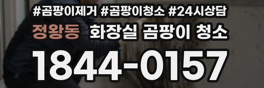 정왕동 화장실 곰팡이 청소