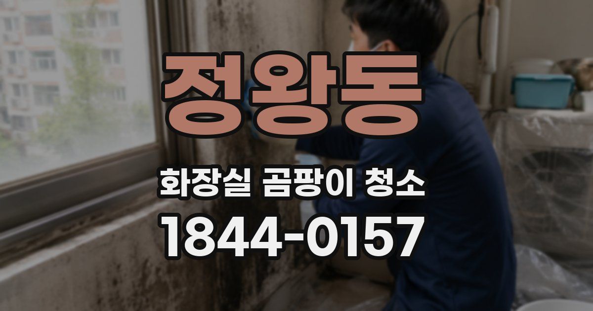 정왕동 화장실 곰팡이 청소