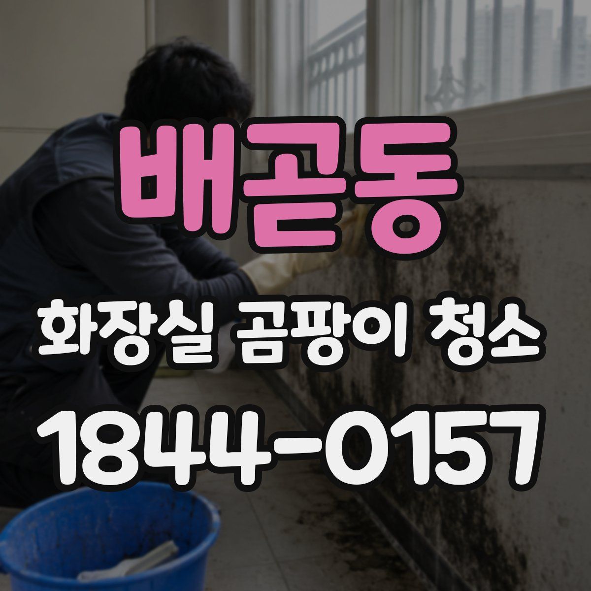 배곧동 화장실 곰팡이 청소