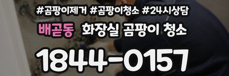 배곧동 화장실 곰팡이 청소