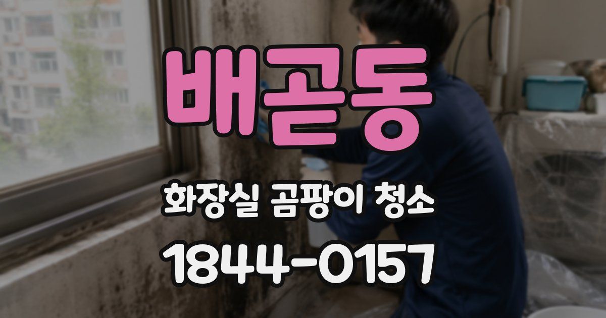 배곧동 화장실 곰팡이 청소