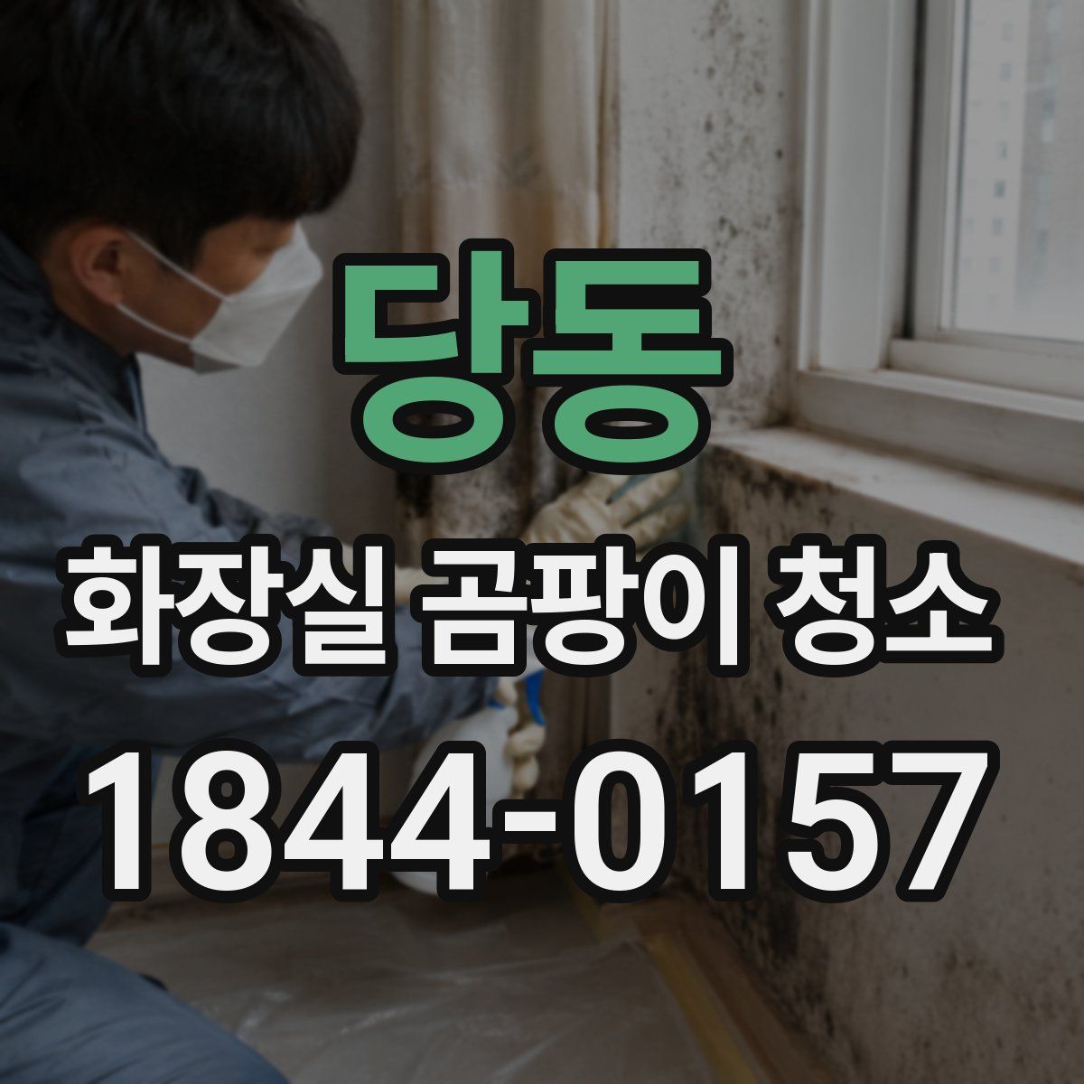 당동 화장실 곰팡이 청소