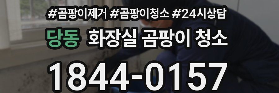당동 화장실 곰팡이 청소