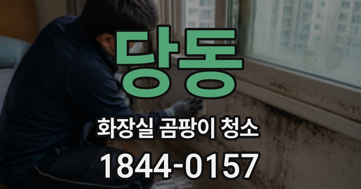 당동 화장실 곰팡이 청소