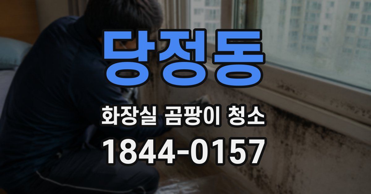 당정동 화장실 곰팡이 청소