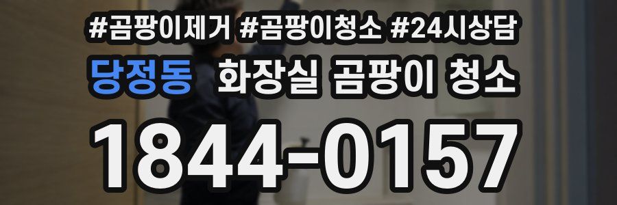 당정동 화장실 곰팡이 청소