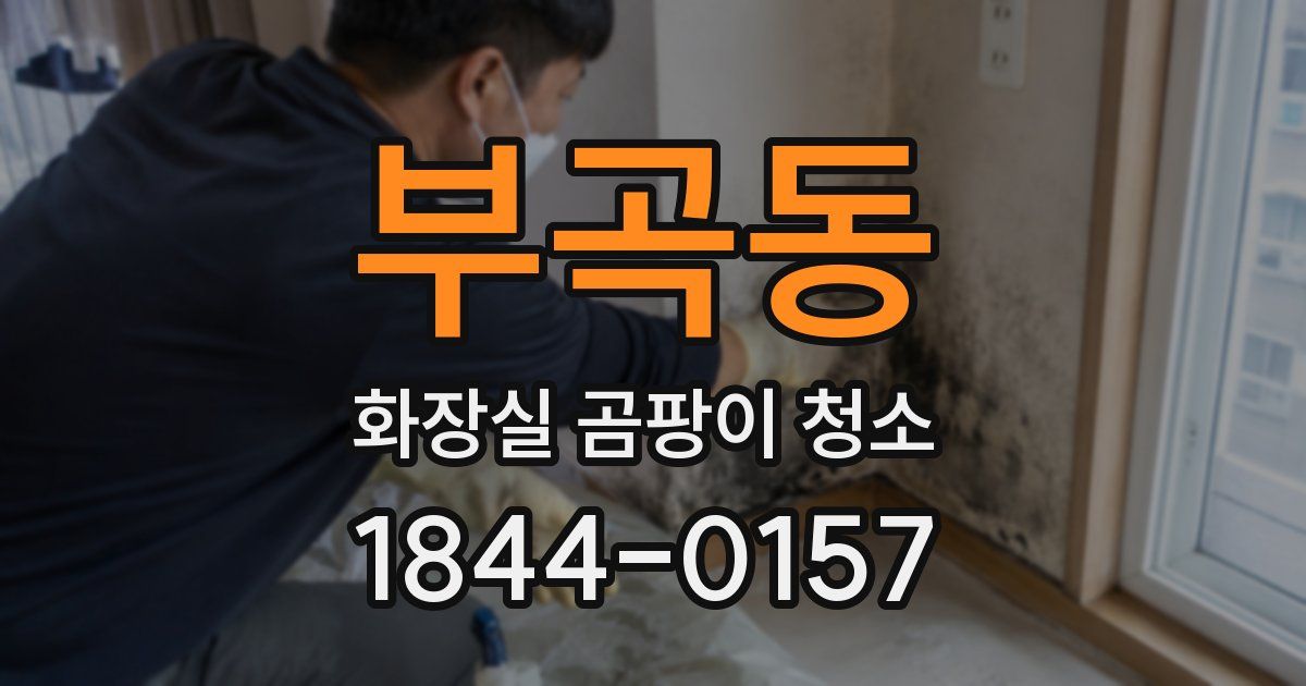 부곡동 화장실 곰팡이 청소