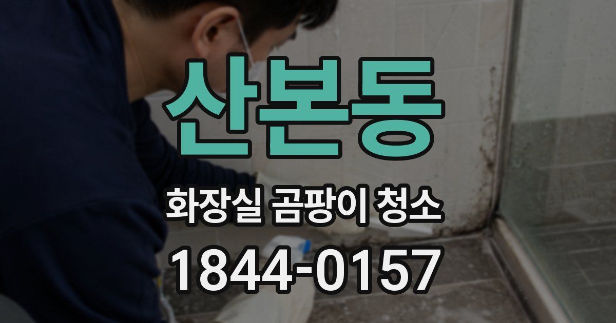 산본동 화장실 곰팡이 청소