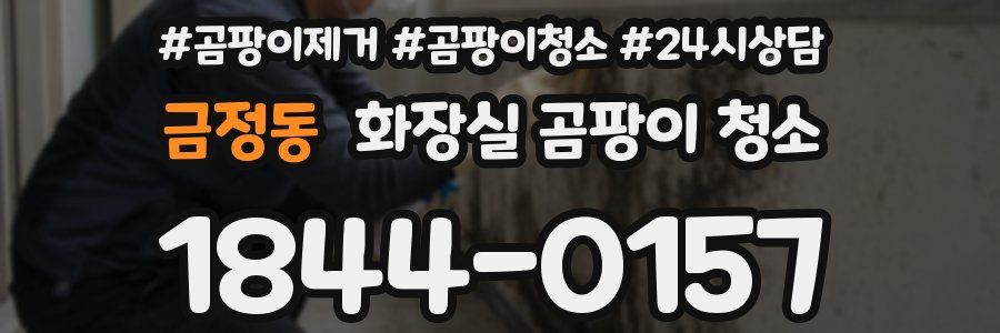 금정동 화장실 곰팡이 청소