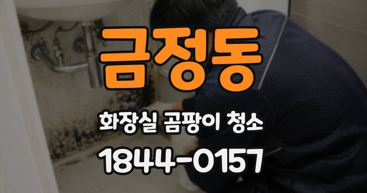 금정동 화장실 곰팡이 청소
