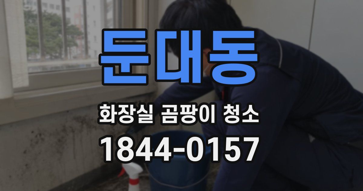둔대동 화장실 곰팡이 청소