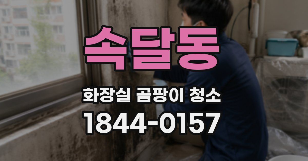 속달동 화장실 곰팡이 청소