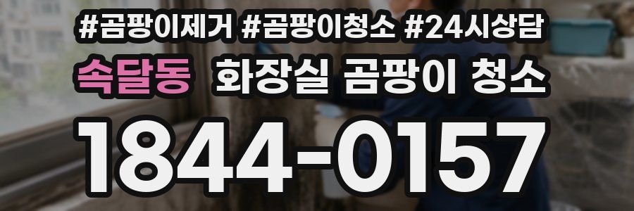 속달동 화장실 곰팡이 청소