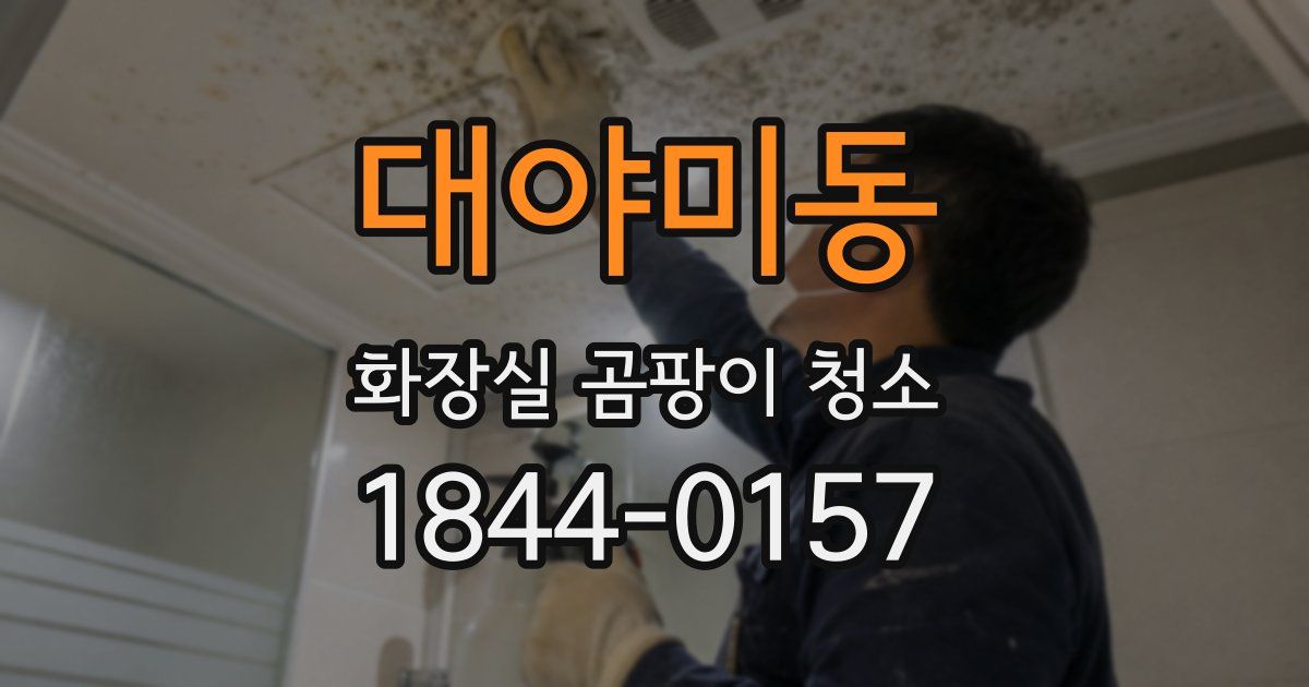 대야미동 화장실 곰팡이 청소
