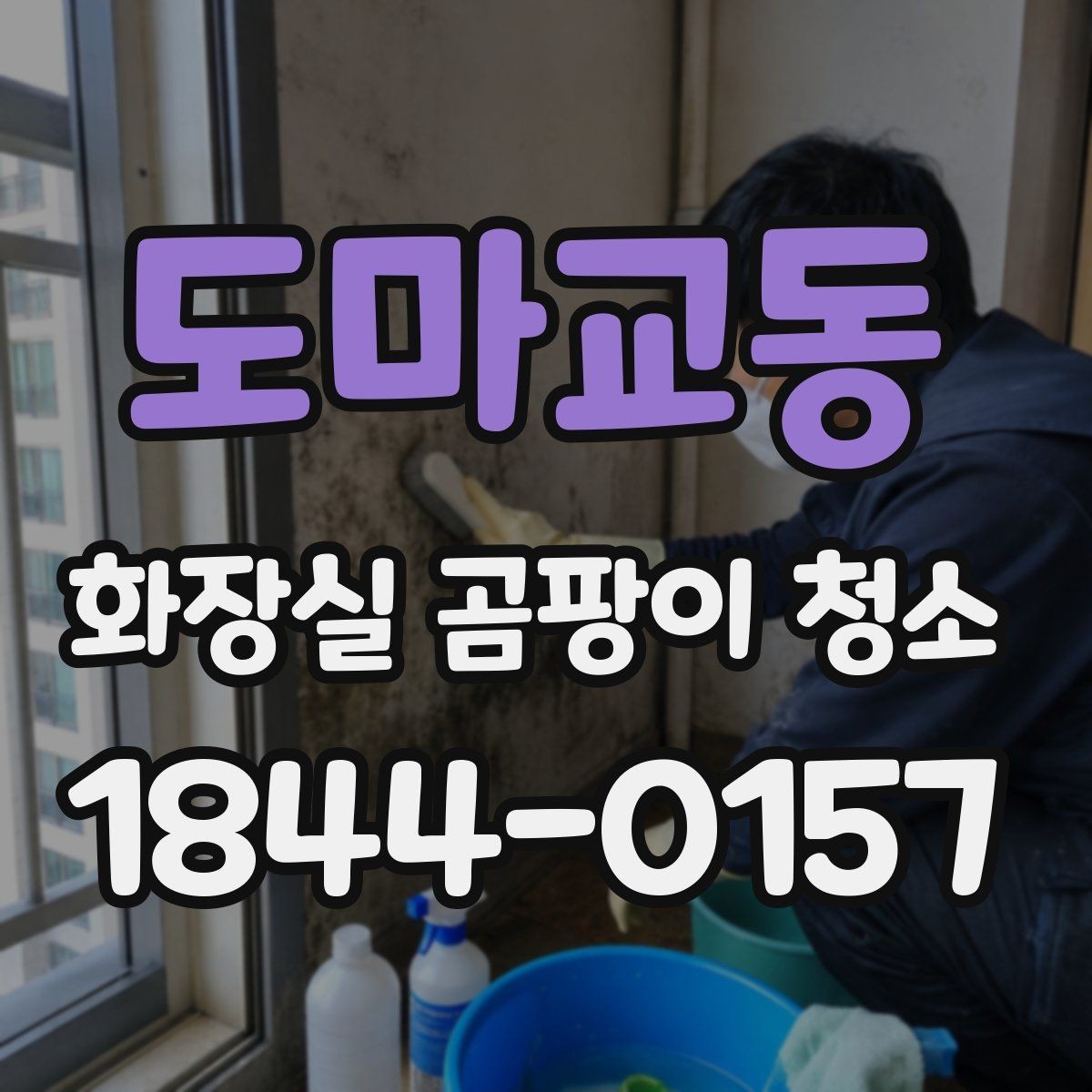도마교동 화장실 곰팡이 청소 물때처럼 보이는 곰팡이의 특징