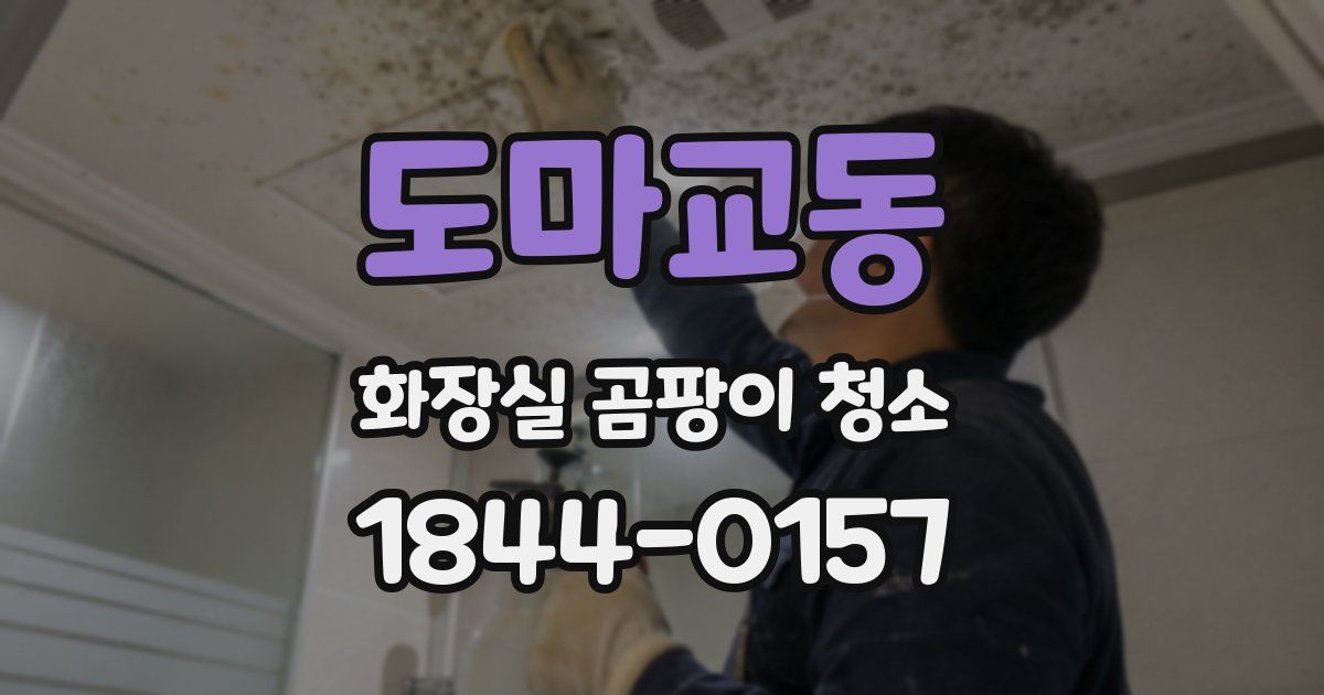 도마교동 화장실 곰팡이 청소