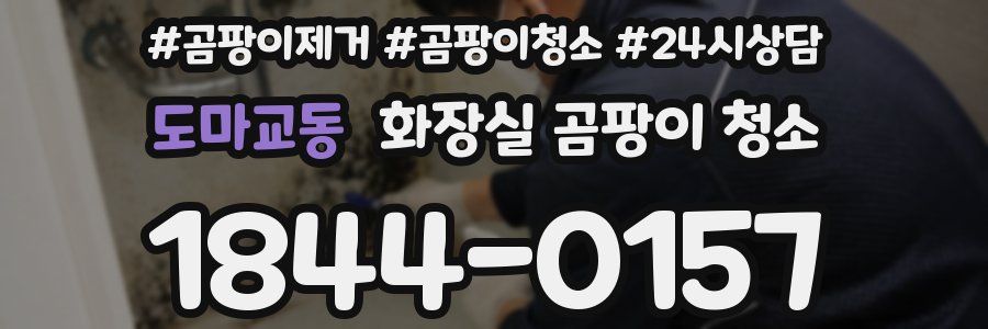 도마교동 화장실 곰팡이 청소