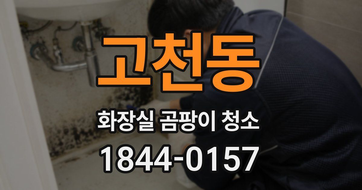고천동 화장실 곰팡이 청소