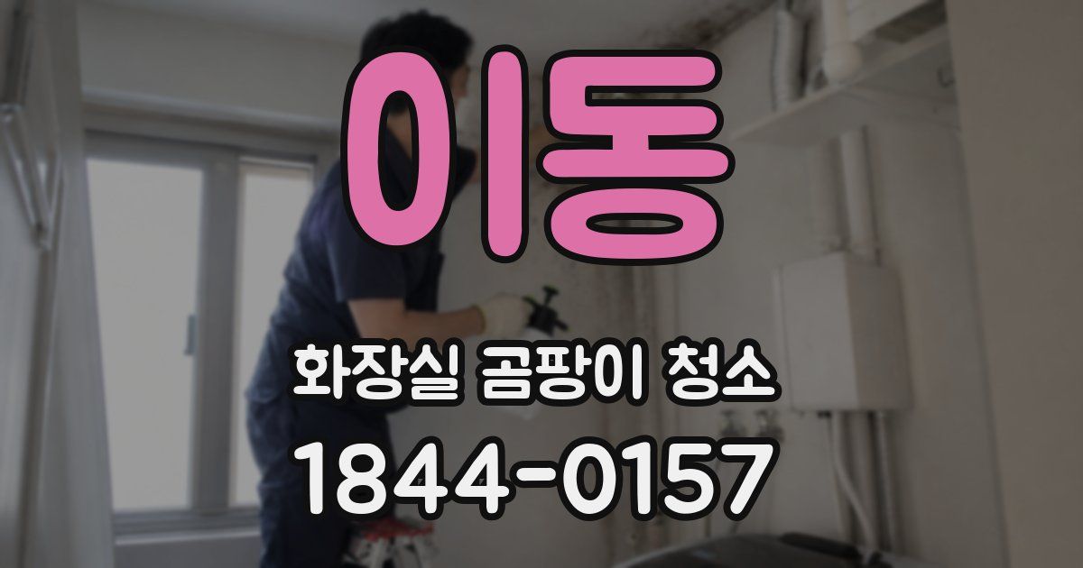 이동 화장실 곰팡이 청소