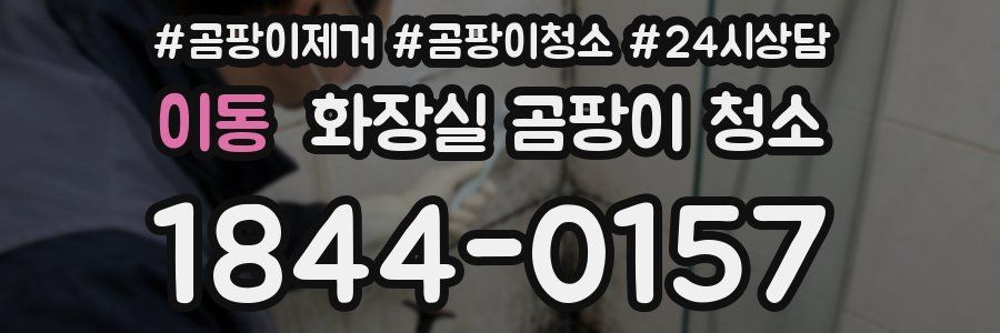 이동 화장실 곰팡이 청소