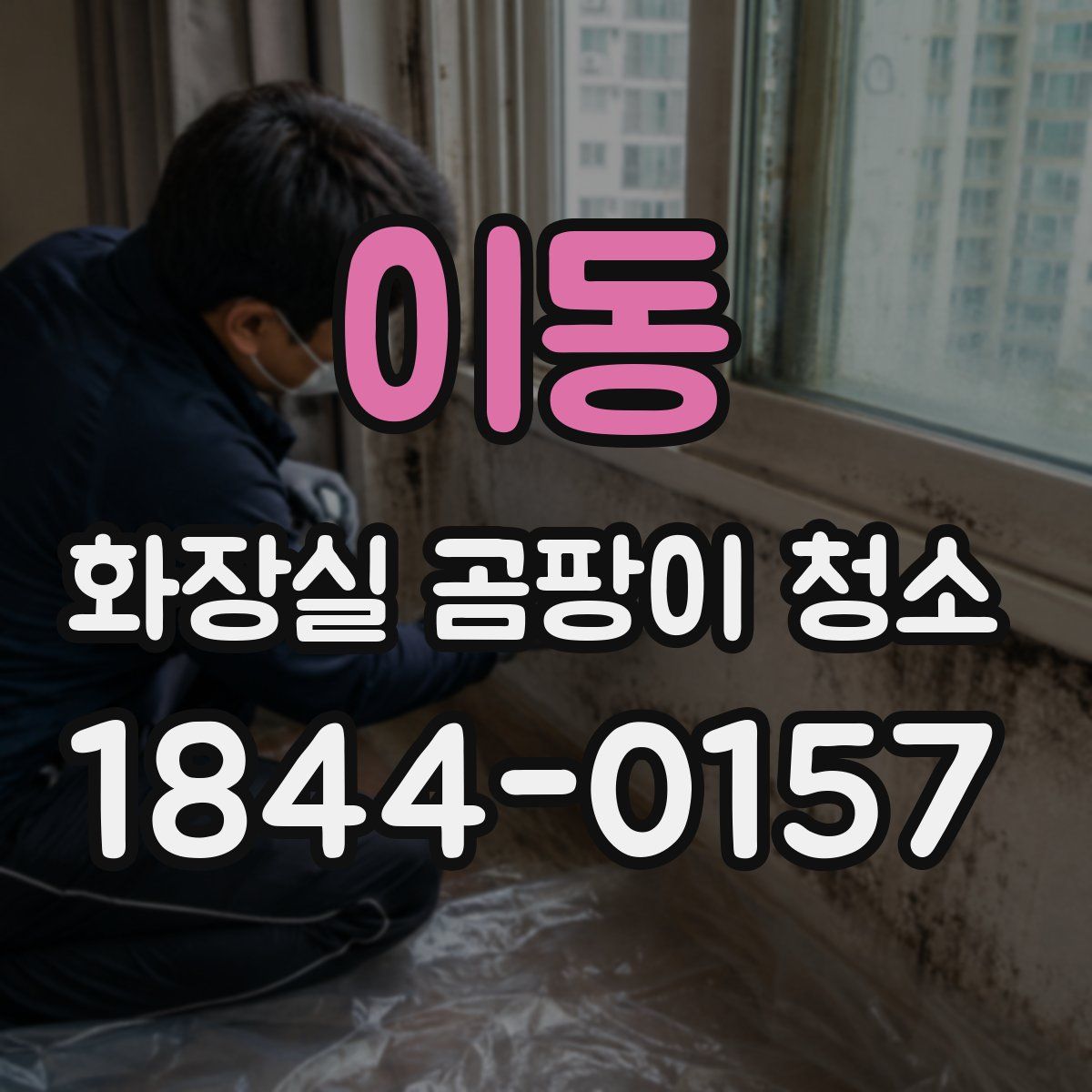 이동 화장실 곰팡이 청소