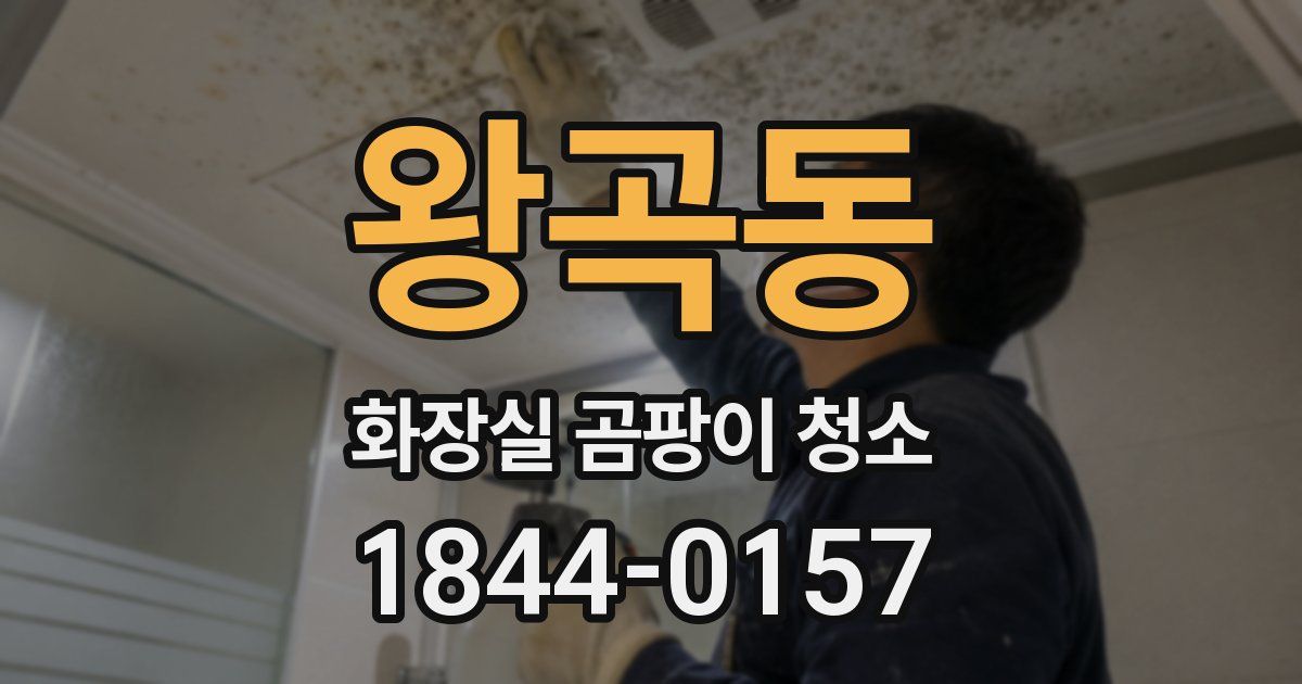 왕곡동 화장실 곰팡이 청소
