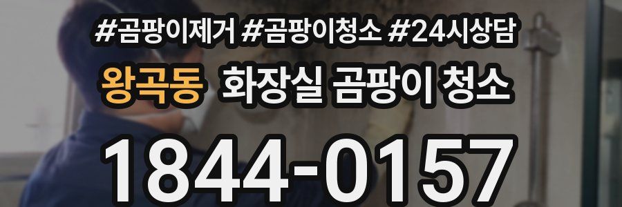 왕곡동 화장실 곰팡이 청소